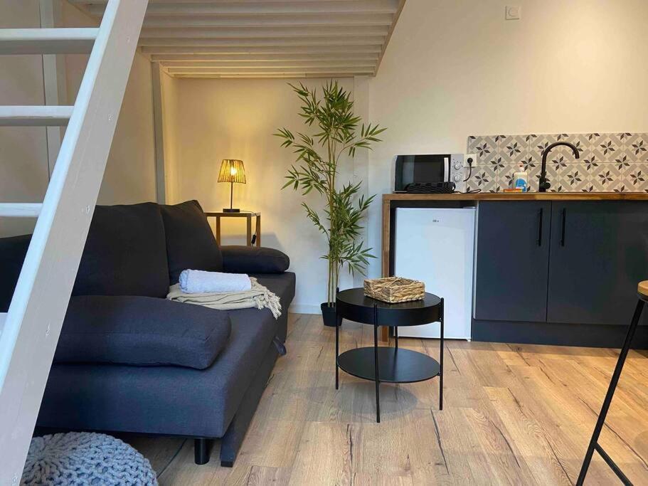 Charmant Studio Vierzon Luaran gambar