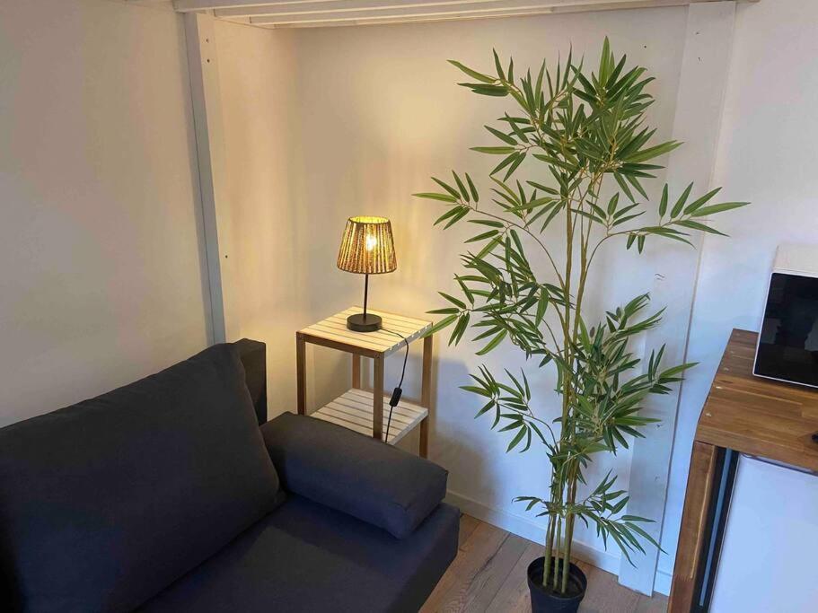 Charmant Studio Vierzon Luaran gambar